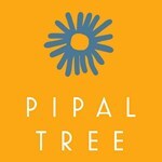 Pipal Tree